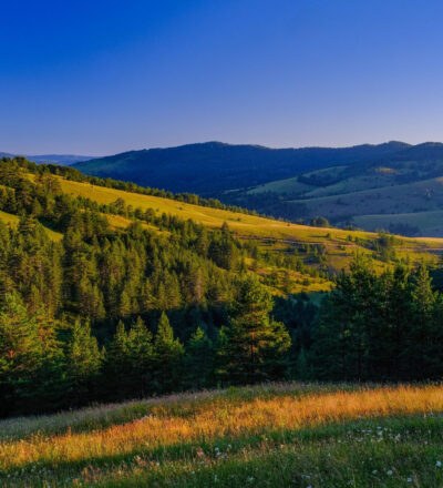 Zlatibor