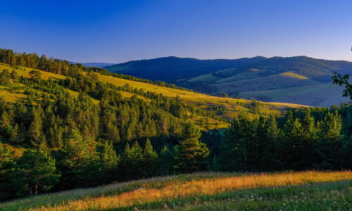 Zlatibor