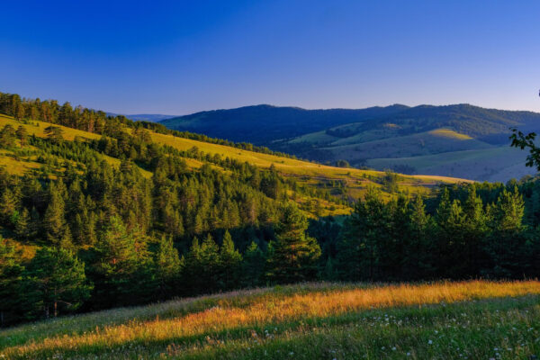 Zlatibor
