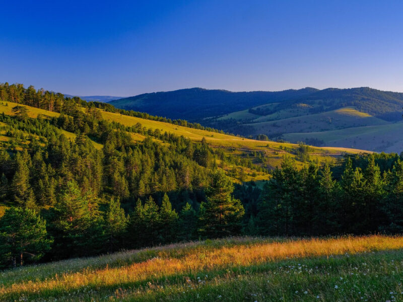 Zlatibor