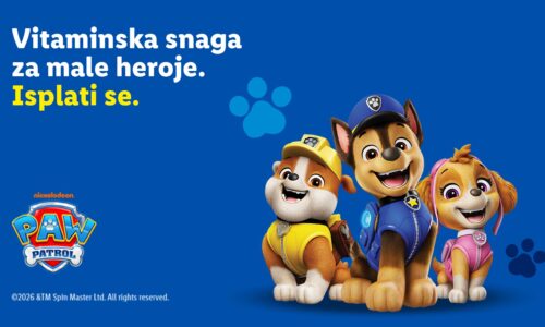 Paw patrol