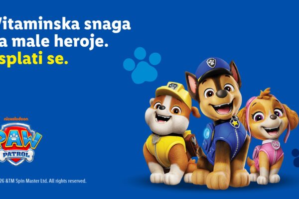 Paw patrol