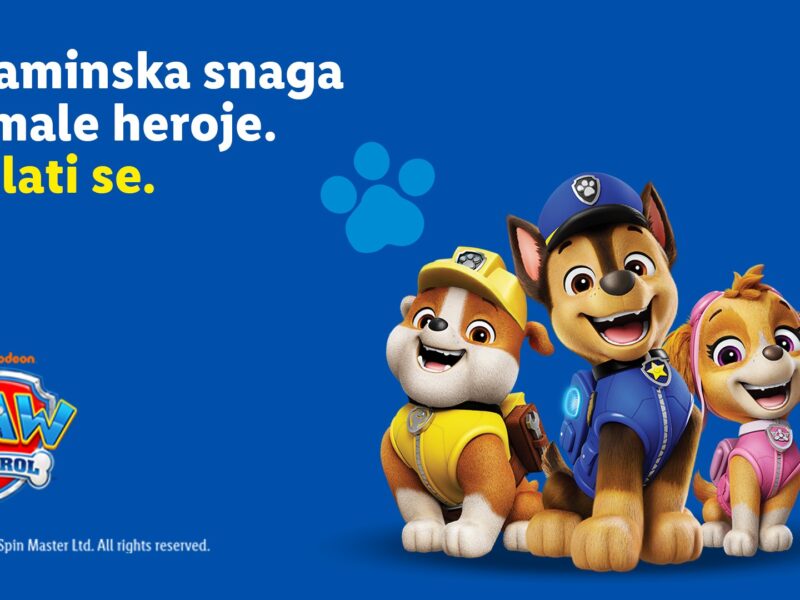 Paw patrol