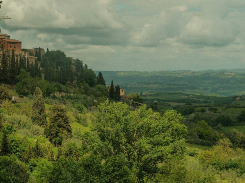 Toskana, Italija, šuma