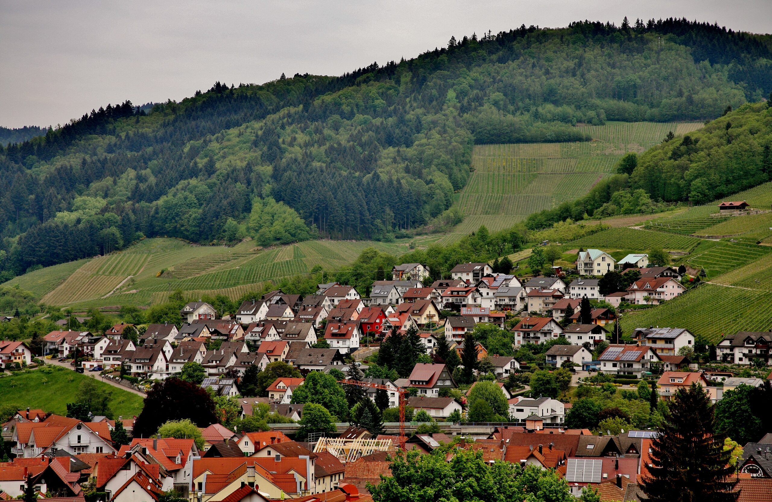 selo, slovačka