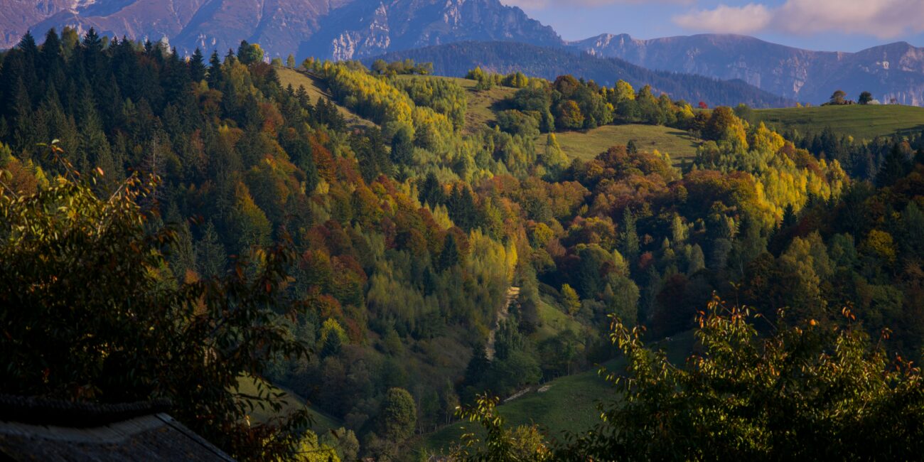 Transilvanija, Rumunija