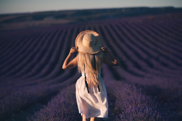 Mirisi, putovanje, lavanda,