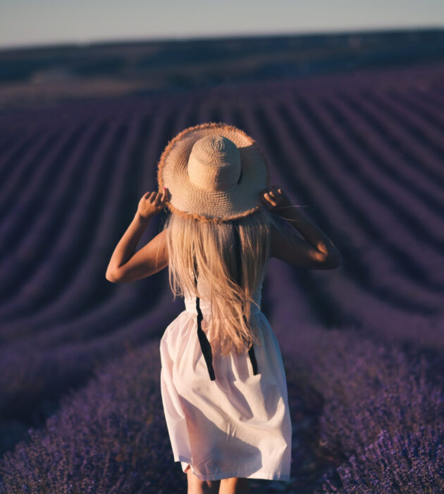 Mirisi, putovanje, lavanda,