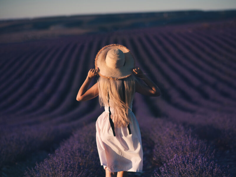 Mirisi, putovanje, lavanda,