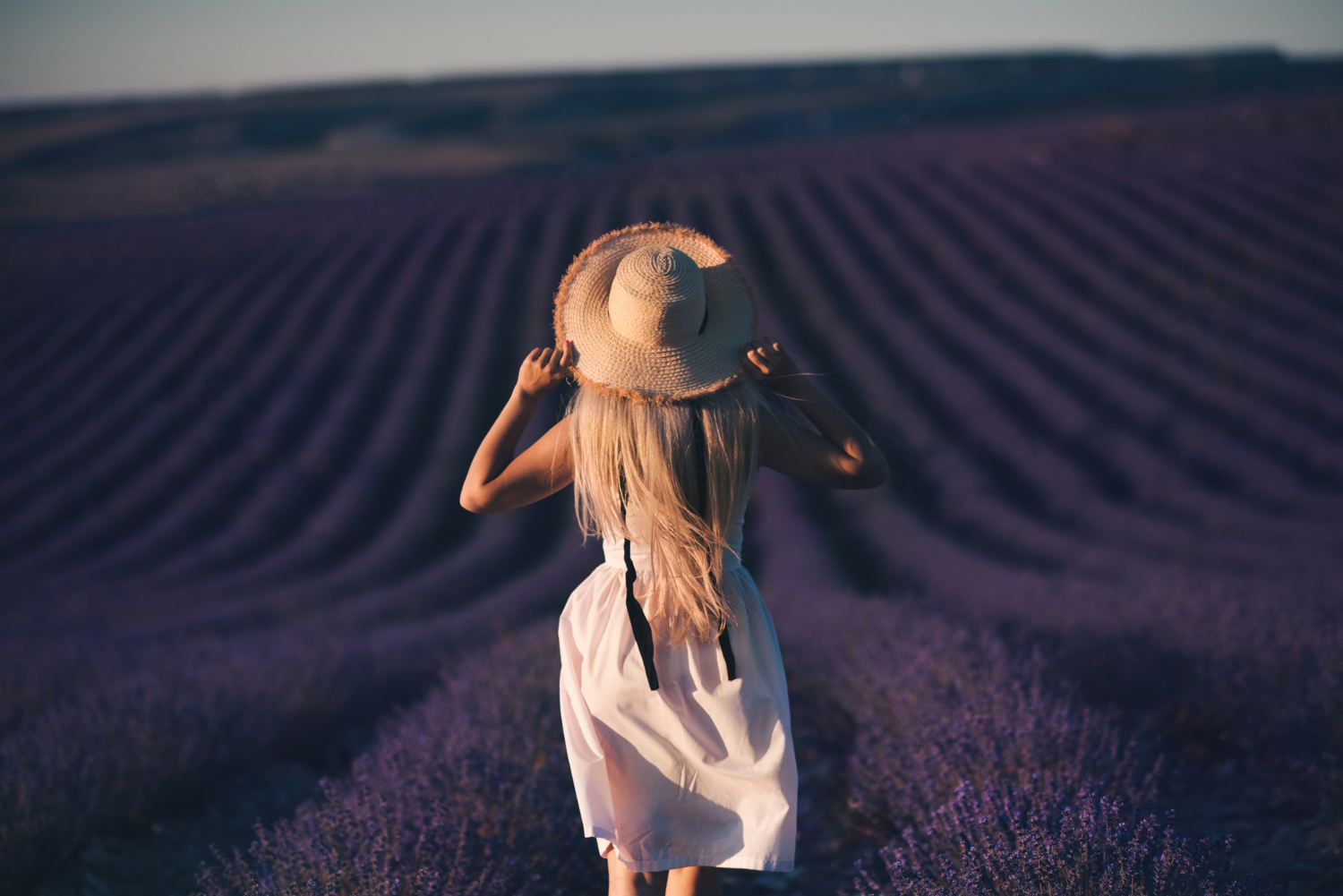 Mirisi, putovanje, lavanda,
