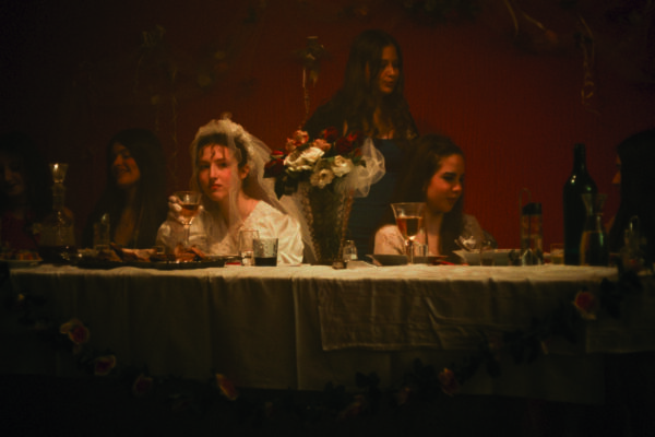 Tara Gajović, film, svadba