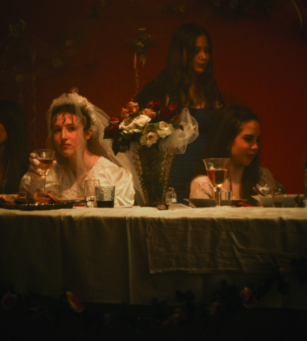 Tara Gajović, film, svadba