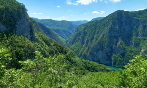 Mokra Gora