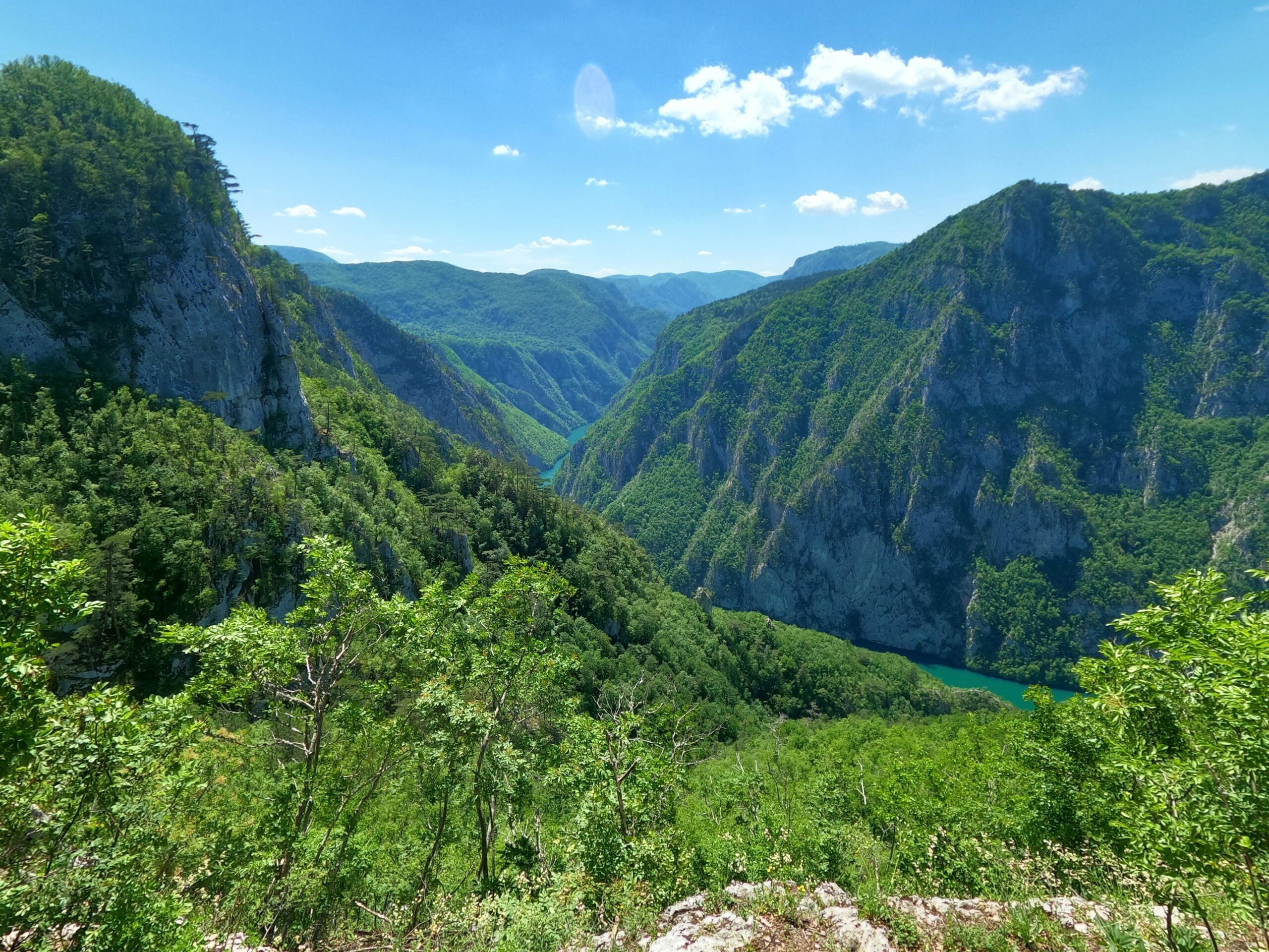 Mokra Gora